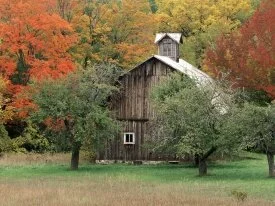Rustic Barn, Leelanau County, Michigan - 1600x12.jpg