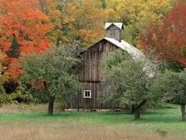 Rustic Barn, Leelanau County, Michigan - 1600x12.jpg (click to view)
