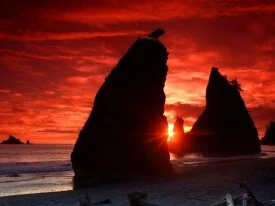 Sea Stacks Knife a Blood-Red Sky, Olympic Nation.jpg