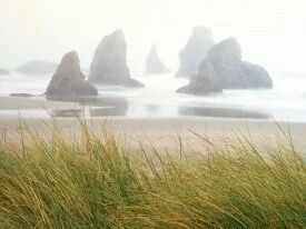 Seastacks in Fog, Bandon, Oregon - - I.jpg