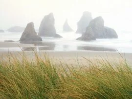 Seastacks in Fog, Bandon, Oregon - - I.jpg (click to view)