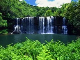 Secluded Falls, Kauai - - ID 43973.jpg