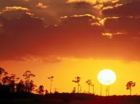 Setting Sun over the Swampland, Everglades Natio.jpg