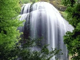 Silver Falls, Oregon - - ID 31723.jpg (click to view)