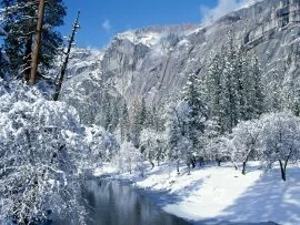 Snow Flocks Yosemite National Par.jpg (click to view)