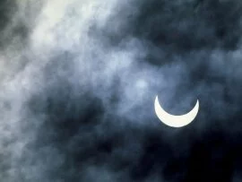 Solar Eclipse, Joshua Tree National Park, Califo.jpg (click to view)