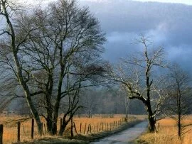 Sparks Lane, Cades Cove, Great Smoky Mountains N.jpg (click to view)