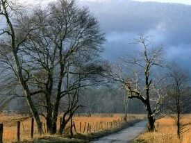 Sparks Lane, Cades Cove, Great Smoky Mountains