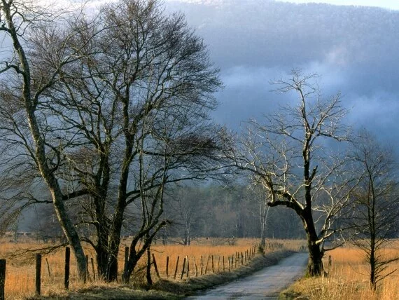 Sparks Lane, Cades Cove, Great Smoky Mountains (click to view)