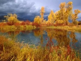 Storm Clouds over Peggy's Pond, Jackson Hole, Wy.jpg (click to view)