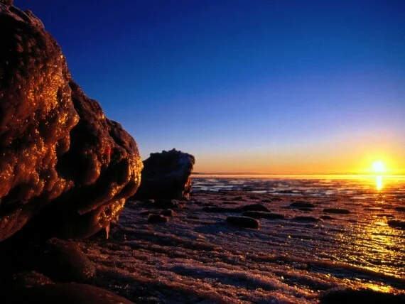 Sunglow - - ID 20800.jpg Sunglow - - ID 20800.jpg (click to view)