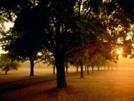 Sunrise in the Park - - ID 12453.jpg