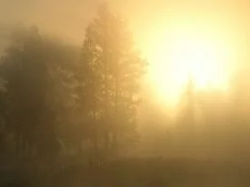 Sunrise through the Sapphire Mountains, Montana .jpg