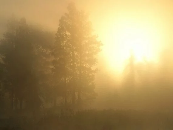 Sunrise through the Sapphire Mountains, Montana .jpg Sunrise through the Sapphire Mountains, Montana .jpg (click to view)
