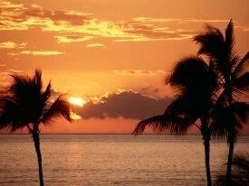 Sunset in the Tropics, Maui - - ID 261.jpg