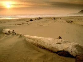 Sunset over Driftwood, Nehalem Bay State Park, O.jpg (click to view)