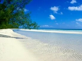 Taino Beach, Bahamas - - ID 40273.jpg