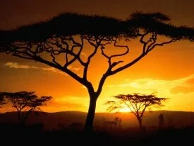 Tanzanian Sunset - - ID 36728.jpg