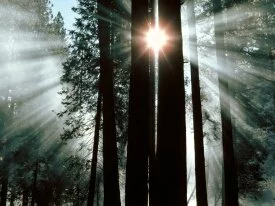The Rays of Yosemite Valley, Yosemite National P.jpg