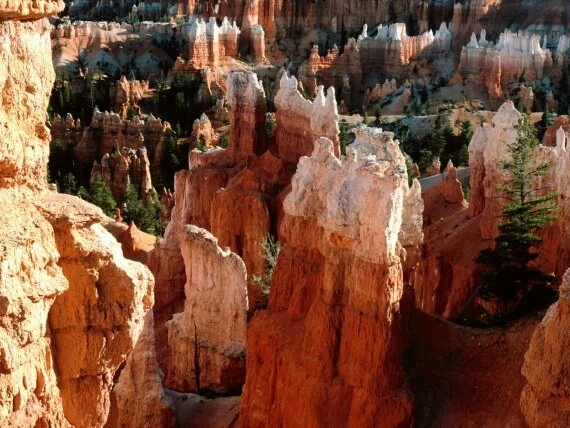 Tower View, Bryce Canyon - - ID 102.jpg (click to view)