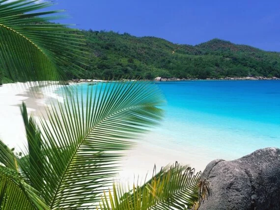 Tropical Retreat, Seychelles - - ID 44.jpg (click to view)