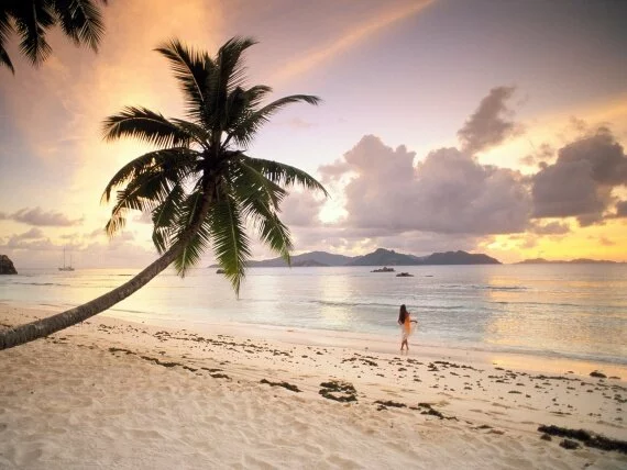 Twilight Paradise, La Digue, Seychelles - 1600x1.jpg (click to view)