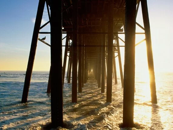 Under the Boardwalk, Oceanside, California - 160.jpg (click to view)