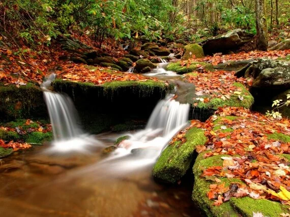 Wesser Creek in Autumn, Nantahala National Fores.jpg (click to view)