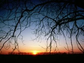 Winter Sunset - - ID 18430 - PREMIUM.jpg