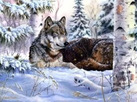 Winter Wolf Oil Painting