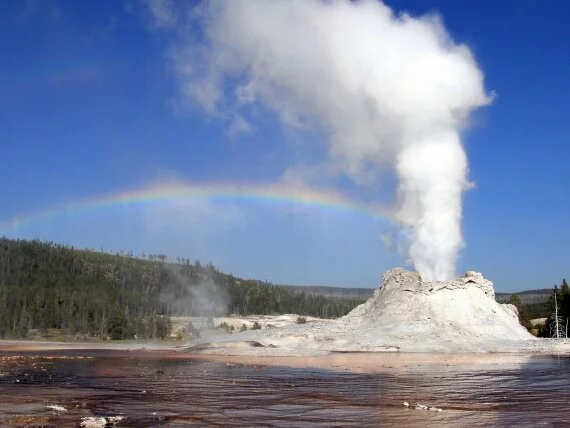 Yellowstone Castle Geyser (click to view)
