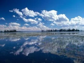 Yellowstone Lake, Yellowstone National Park, Wyo.jpg