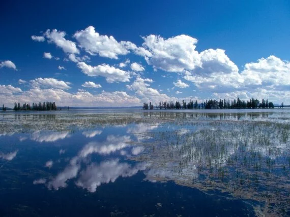 Yellowstone Lake, Yellowstone National Park, Wyo.jpg Yellowstone Lake, Yellowstone National Park, Wyo.jpg (click to view)