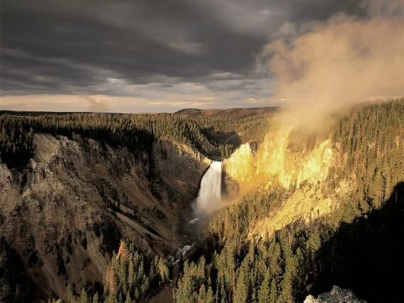 Yellowstone National Park, Wyoming - -.jpg (click to view)