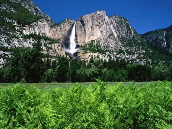 Yosemite Falls (click to view)