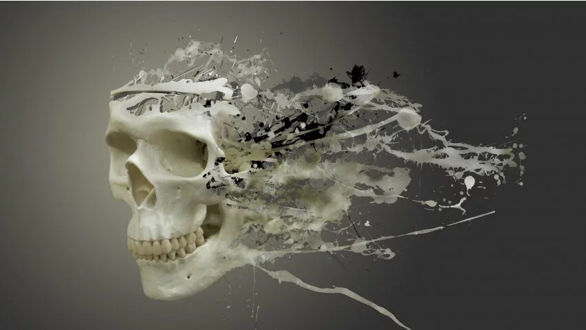 3D White Skull