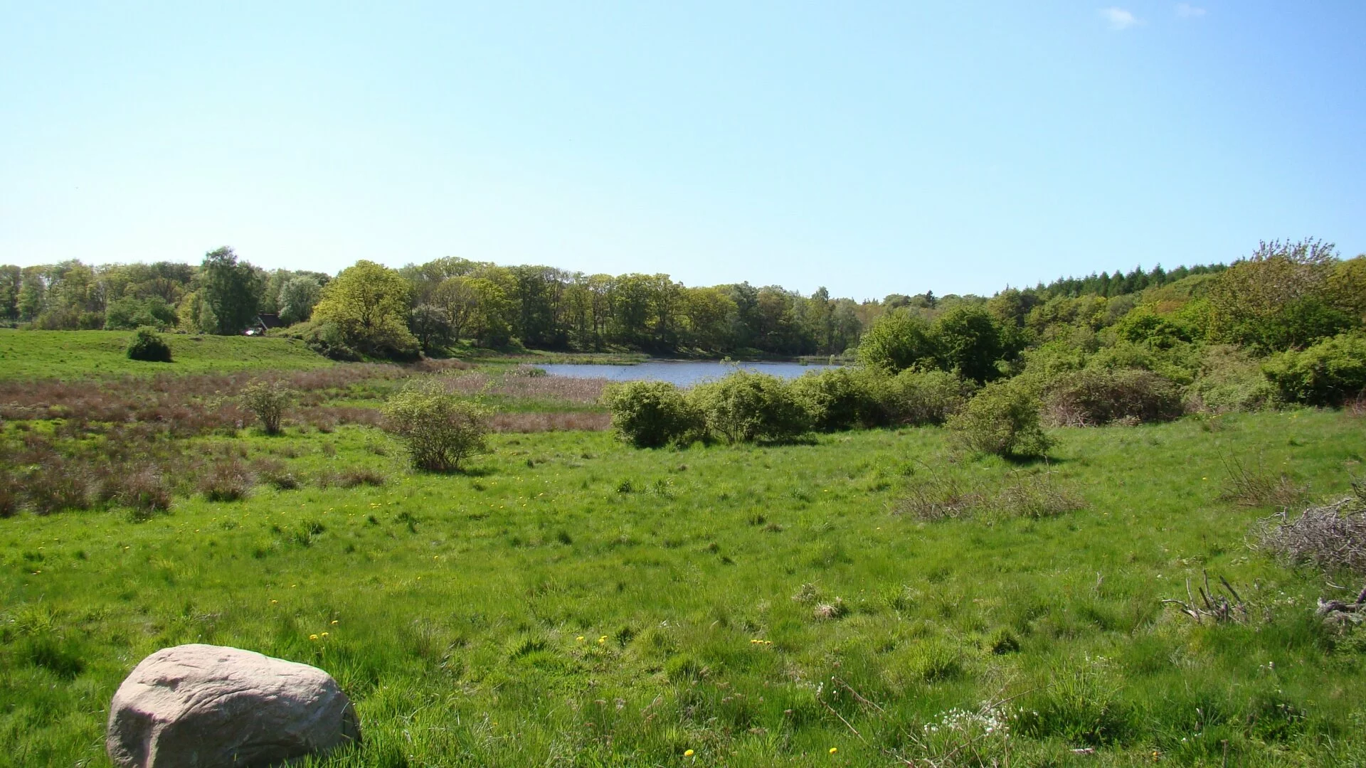 In front of a lake