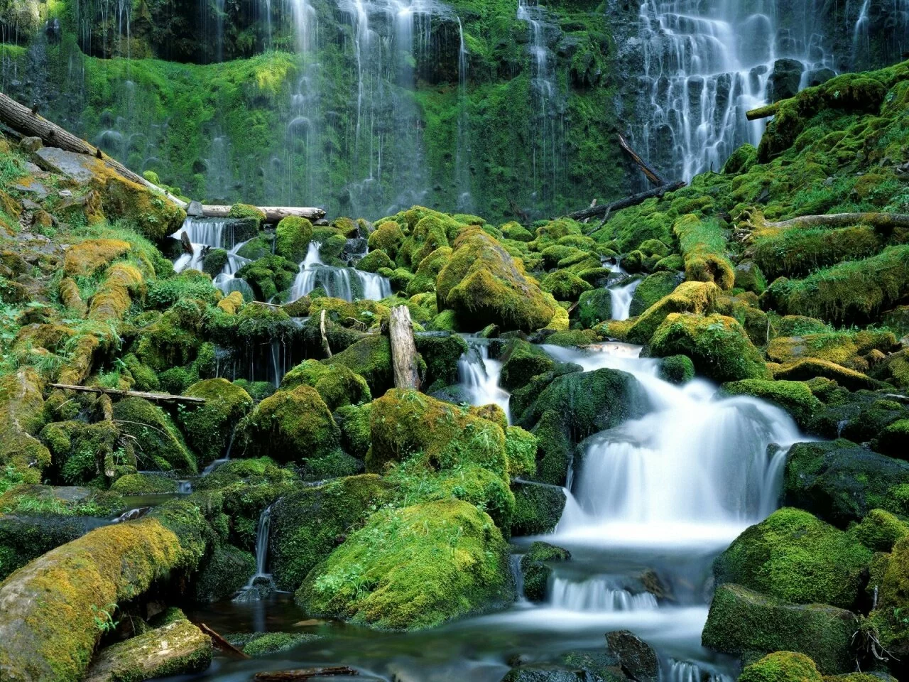 Proxy Falls, Cascade Range, Oregon - -.jpg