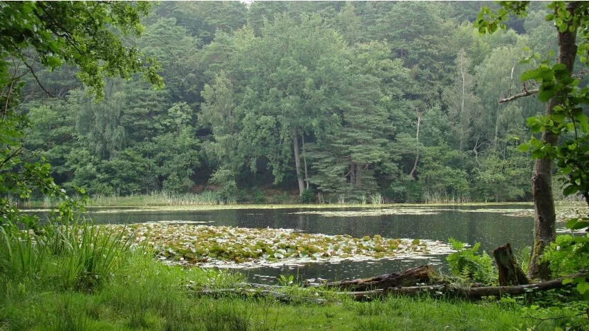 Rain on the lake by Kim